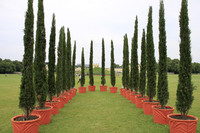 <p>Die Documenta 13 in Kassel (bis 16. September 2012) kann für alle, die sich mit Natur, Garten, Park, Ökologie, Landwirtschaft oder Gartenbau…</p>