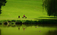 <p>Um den Folgen des Klimawandels besser zu begegnen, will die Stadt Luzern ihre öffentlichen Grünflächen beschleunigt ökologisch aufwerten und…</p>