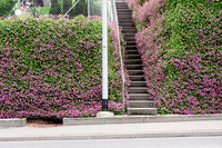 <p>Für einmal stand nicht Pflanzenschutz, sondern Pflanzenverwendung auf dem Programm des Schwitter Gartenbaukurses, in dem an vier Halbtagen…</p>