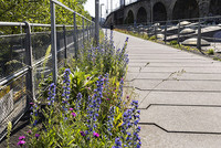 <p>Die Biodiversität innerhalb der Stadt Zürich soll langfristig erhalten und gefördert werden. Das Ziel ist es, den Anteil ökologisch wertvoller…</p>