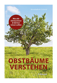 <p>Warum braucht ein Apfelbaum einen Partnerbaum, während ein Pflaumenbaum ein «Single» bleiben kann?</p>