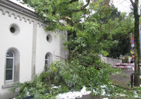 <p>Der frühe starke Schneefall vergangenes Wochenende führte in Chur zu Schäden an Stadtbäumen in ausserordentlichem Ausmass.</p>