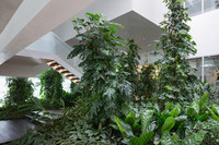 <p>Grüninstallationen im und am Gebäude sind der Kompetenzbereich der Hydroplant AG. Das Unternehmen aus Zürich bietet Konzeption, Planung, Beratung,…</p>