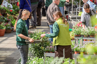 <p>Nach dem Kampf gegen die Schliessung aus Spargründen hat der Grosse Rat des Kantons Bern der weiteren Subventionierung der Gartenbauschule Hünibach…</p>