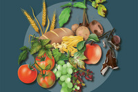 <p>Neue Züchtungstechnologien haben nach Ansicht der Akademie der Naturwissenschaften Schweiz (SCNAT) das Potenzial, einen Mehrwert für die…</p>