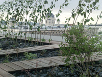 <p>Die Anlagen der Semiramis stehen diesmal nicht </p><p>am Euphrat, sondern an der Donau in Wien. Die Dächer und Fassaden der Stadt werden durch die…</p>