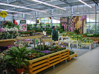 <p>Die vereinbarte Kooperation mit der deutschen Gartencenterkette Dehner trägt Früchte. Mitte März eröffnete Coop in Kreuzlingen und Winterthur/Töss die…</p>