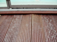 <p>Jede Holzart verfügt über einen artspezifischen Aufbau, mit dem ganz bestimmte Eigenschaften verknüpft sind. Dies erklärt, warum sich nicht alle…</p>