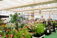 <p>Grossveranstaltungen sind in den Niederlanden aufgrund von Schutzmassnahmen gegen das Coronavirus bis zum 1. September verboten. Die…</p>