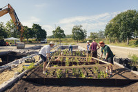 <p>Ein Team der Technischen Universität Berlin TU testet bis 2027 in einer Versuchsanlage Vegetationsmischungen für Verdunstungsbeete. Diese sind ein…</p>