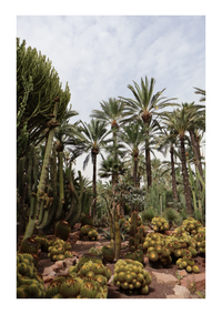 <p>Im Rahmen ihrer Studienreise besuchte die Technikerklasse 25/27 der Gartenbauschule Oeschberg die Grossbaumschule Planta Viva in Elche (E). Der auf…</p>