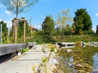 <p>Naturnahe Grünflächen im Siedlungsraum erfüllen verschiedene ökologische Aufgaben und tragen zur Biodiversität im Siedlungsraum bei. Auch der Mensch…</p>