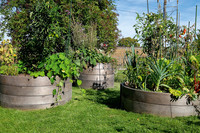 <p>Das Thema Nachhaltigkeit gewinnt im Alltag an Bedeutung und rückt auch immer mehr&nbsp;in das Bewusstsein des Endverbrauchers. Gartengestalterinnen und…</p>