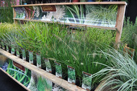 Klar strukturierte und attraktive