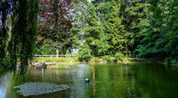 Löschweiher am Waldrand,