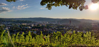 <p>Die Stadt Winterthur hat im Jahr 2021 entschieden, bis im Jahr 2024 1000 neue Bäume auf ihrem Boden zu pflanzen – doch damit nicht genug.</p>