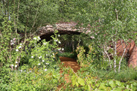 <p>Im Mai öffnete die weltberühmte Chelsea Flower Show (CFS) erneut für fünf Tage ihre Tore und lockte rund 145 000 Gartenbegeisterte aus aller Welt nach…</p>