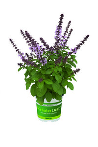 <p>Angesichts der immer deutlicher werdenden Folgen des Klimawandels beschäftig sich die Firma Kientzler&nbsp;schon seit einigen Jahren mit der…</p>