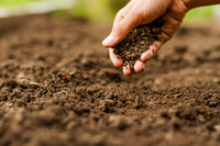 <p>Der globale&nbsp;Wandel verändert das mikrobielle Leben im Boden und damit seine ökologischen Funktionen.&nbsp;Forscher haben erstmals ganzheitlich bewertet,…</p>