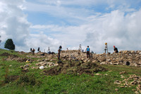 <p>Pro Natura und die Stiftung Umwelteinsatz Schweiz (SUS) bieten seit über drei Jahrzehnten die Möglichkeit, die Natur- und Kulturlandschaft während…</p>