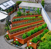 <p>Einen Gemüsegarten der besonderen Art liess sich Otto Rütter, pensionierter und nach wie vor passionierter Gärtner, erstellen. Es ist ein…</p>