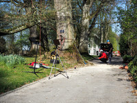 <p>Einiges deutete bei der über 150 Jahren alten, wertvollen Sumpf-Eiche im Park der Gartenbauschule Oeschberg in Koppigen auf mangelnde…</p>