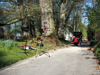 Baumrettung dank Baumdiagnose <p>Einiges deutete bei der über 150 Jahren alten, wertvollen Sumpf-Eiche im Park der Gartenbauschule Oeschberg in Koppigen auf mangelnde…</p>