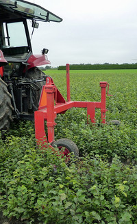 <p>Für die Produktion von Forstjungpflanzen gibt es in Holland zwei grosse Zentren. Neben der Region Groningen hat besonders Zundert und Umgebung seit…</p>