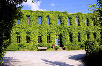 <p>Die Studentinnen und Studenten der Technikerklasse HF/GSO 2010/12 an der Gartenbauschule Oeschberg haben im Rahmen einer Ökologiewoche verschie­dene…</p>
