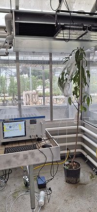 <p>Klimawandel, unsichere Lieferketten und steigende Anforderungen an die Landwirtschaft, all das bei einer beständig wachsenden Weltbevölkerung: Um die…</p>