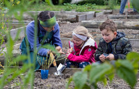 <p>Vor Kurzem ist das Projekt «Gartenkind» von Bioterra mit dem Schweizer Ethikpreis ausgezeichnet worden. Mit den «Gartenkind»-Angeboten engagiert sich…</p>