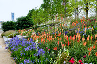 <p>Die britische Gartenkultur hatte zwei Jahrhunderte lang einen grossen Einfluss auf die Gestaltung europäischer Gärten und Parkanlagen. Die Elemente…</p>