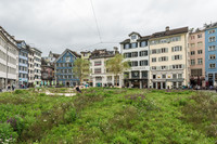 Der Münsterhof in Zürich wird zur temporären Allmend <p>Der Berner Oberländer Aktionskünstler Heinrich Gartentor gestaltete auf Einladung der Stadt Zürich ein temporäres Kunstwerk für den Münsterplatz. Die…</p>