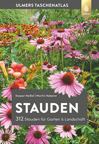 <p>In diesem Buch werden 312 Garten- und Wildstauden in anschaulichen Porträts vorgestellt.</p>