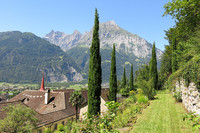 <p>Von den über 350 bekannten Färberpflanzen hat Eduard Indermaur rund 200 Arten im Garten des Kulturklosters Altdorf angesammelt. Auf einem Rundgang…</p>