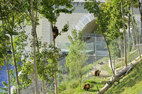 Stadtbauten Bern und Planergemeinschaft schliessen Vergleich <p>In Zusammenhang mit der Kostenüberschreitung beim Bau des BärenParks haben sich Stadtbauten Bern und die Planergemeinschaft BärenPark auf einen…</p>