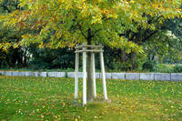 Sehr elegantes und formschönes