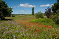 <p>Die Stiftung Landschaftsschutz Schweiz (SL) zeichnet den Klettgau (s'Chläggi) im Kanton Schaffhausen als Landschaft des Jahres 2023 aus. Mit der…</p>