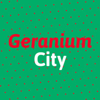 <p>Laut einer Medienmitteilung der Direktion für Tiefbau, Verkehr und Stadtgrün stellen die vier Berner Institutionen – das Alpine Museum der Schweiz,…</p>