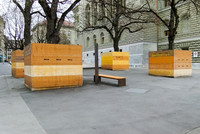 Vorbildlicher Baumschutz