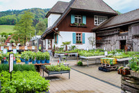 <p>Ein schmuckes Schwarzwaldhaus inmitten einer Gärtnerei – die Erlebnisgärtnerei Blumen Rombach im idyllischen Glottertal bietet ihren Kundinnen und…</p>