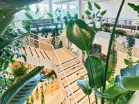 <p>Per Onlinewahl haben die Mitglieder des Bundesverbandes GebäudeGrün (BuGG) das Begrünungsprojekt «Implenia Connect» in Opfikon zur…</p>