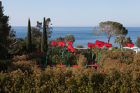 <p>Die um ein Jahr verschobene 12. Ausgabe der Euroflora findet vom 23. April bis 8. Mai 2022 statt. Das bereits bei der letzten Durchführung…</p>