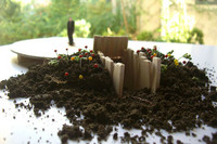 «Sur la Piste» führt den