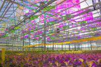 <p>Die Schweizer Firma Voltiris erhält am Messeduo expoSE und expoDirekt den Innovationspreis 2025 für ihre Solarmodule, die wachstumsnotwendiges Licht…</p>