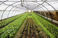 <p>Landwirtschaft und Gartenbau, die auf der Suche nach neuen Betriebsmodellen und Absatzmöglichkeiten sind, Menschen, die sich umwelt- und…</p>