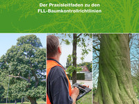 Verkehrssicherheit und Baumkontrolle – Praxisleitfaden zu den FLL-Baumkontrollrichtlinien <p>Das Institut für Baumpflege Hamburg hat ein neues Praxishandbuch zum Thema «Verkehrssicherheit und Baumkontrolle» erarbeitet. Entstanden ist ein…</p>
