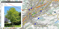 Baumstrategie für die Stadt St.Gallen <p>Die Stadt St.Gallen hat gemäss Medienmitteilung eine Baumstrategie erarbeitet mit Zielen zum Erhalt eines gesunden, alterungsfähigen und gut…</p>