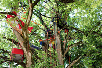 <p>Anfang Juni fand in Neuen­burg das 7. Interna­tionale Arborcamp statt. Baumpflege­spezialisten und Kletterer aus ganz Europa trafen sich zum…</p>