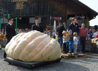 Gut bewacht – «Bodyguards»